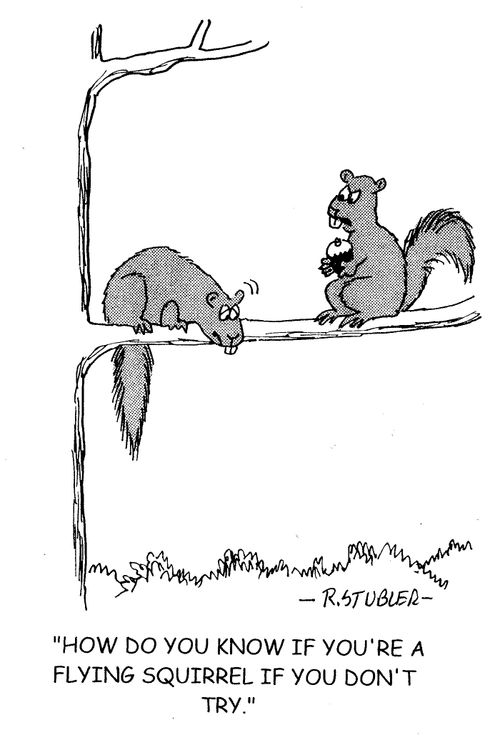 'How do you know if you're a flying squirrel if you don't try?'