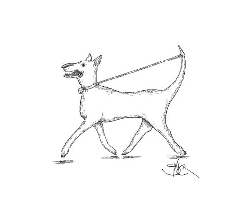 Self-walking dog