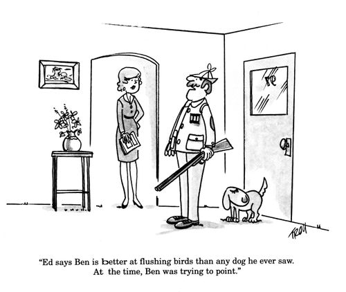 'Ed says Ben is flushing birds than any dog he ever saw.  At the time, Ben was trying to point.'