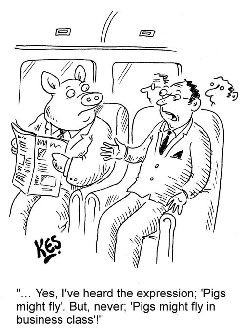 "... Yes, I've heard the expression; 'Pigs might fly'. But, never; 'Pigs might fly in business class'!"