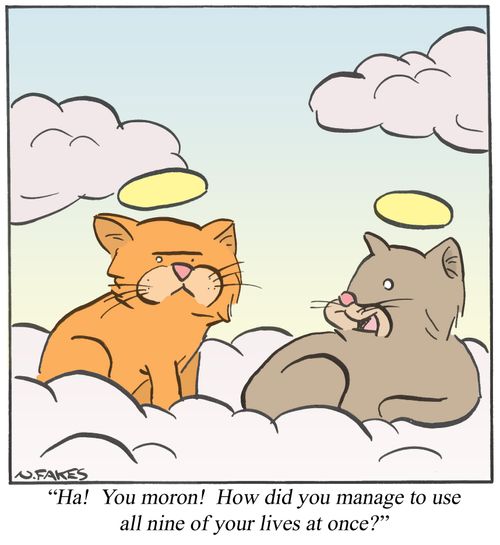 'Ha! You moron! How did you manage to use all nine of your lives at once?'