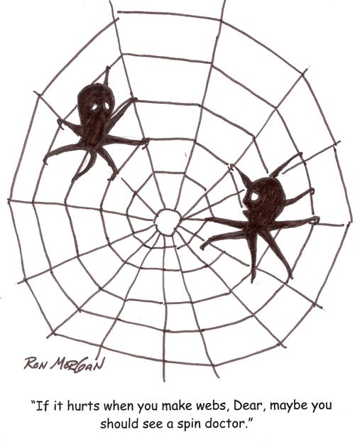 'If it hurts when you make webs, Dear, maybe you should see a spin doctor.'