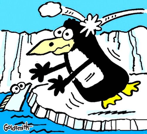Penguin snowball.