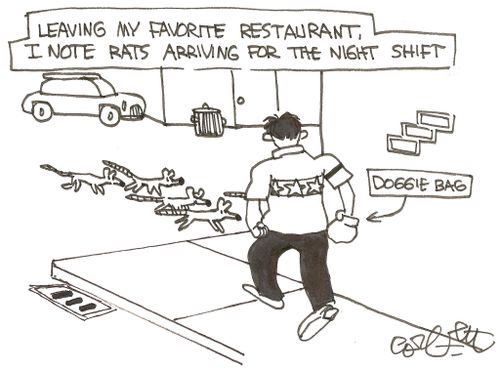 Leaving my favorite restaurant, I note rats arriving for the night shift.
