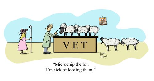 "Microchip the lot. I'm sick of loosing them."