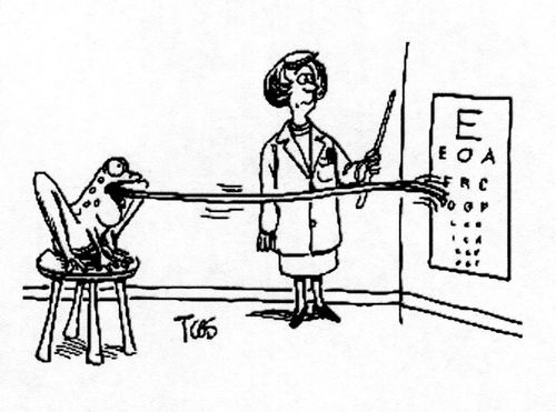 Frog Eye Chart.