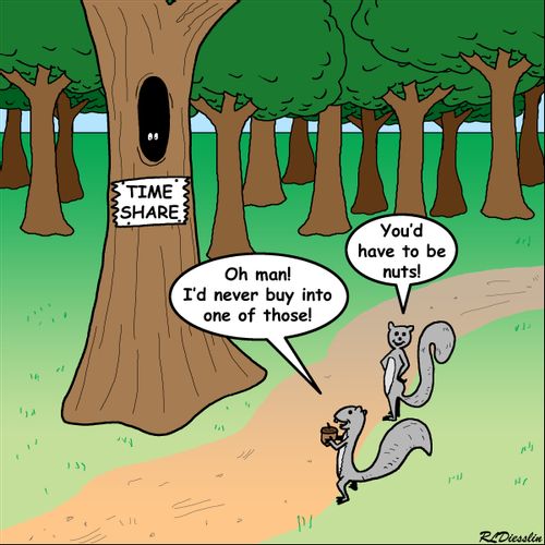 Squirrel Time Share Tree