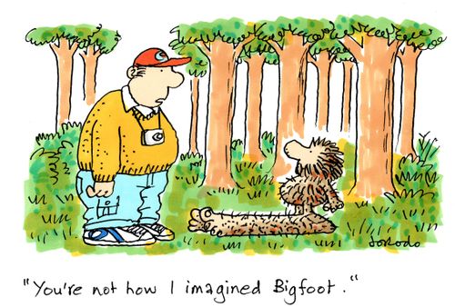 'You're not how I imagined Bigfoot.'