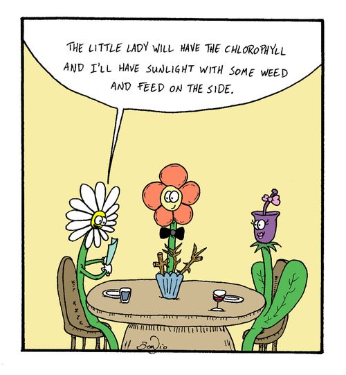 "The little lady will have the chlorophyll and I'll have the sunlight with some weed and feed on the side."