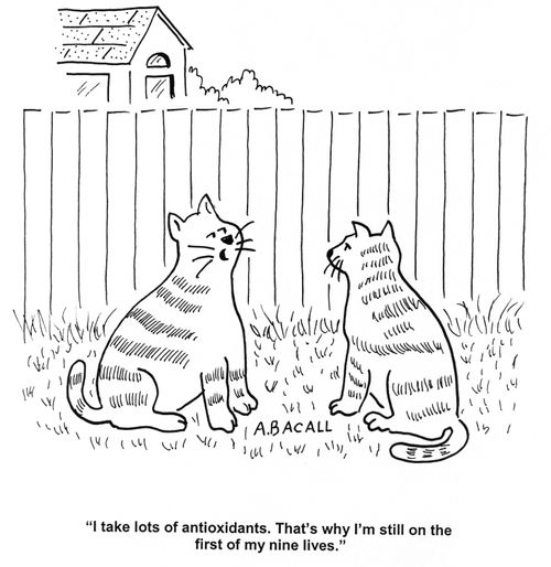 'I take lots of antioxidants.  That's why I'm still on the first of my nine lives.'