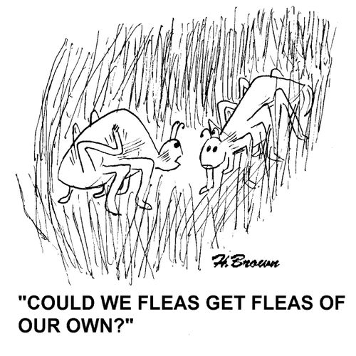 'Could we fleas get fleas of our own?'