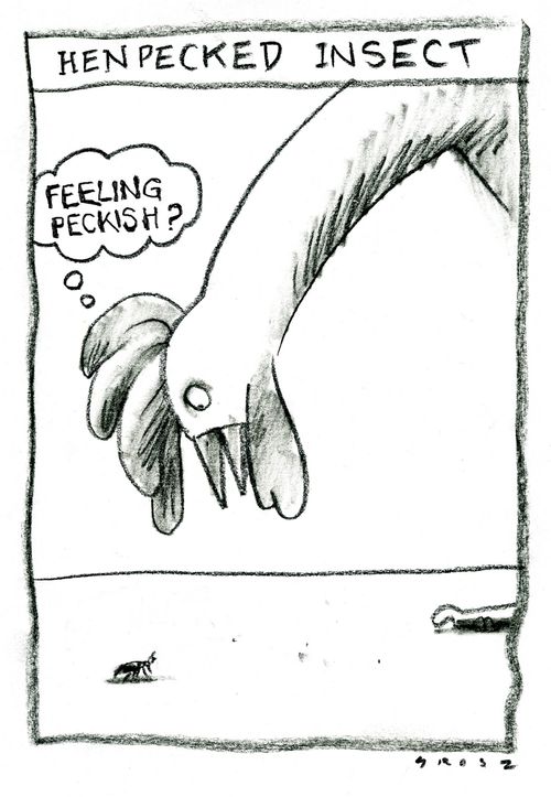 Henpecked Insect - 'Feeling peckish?'