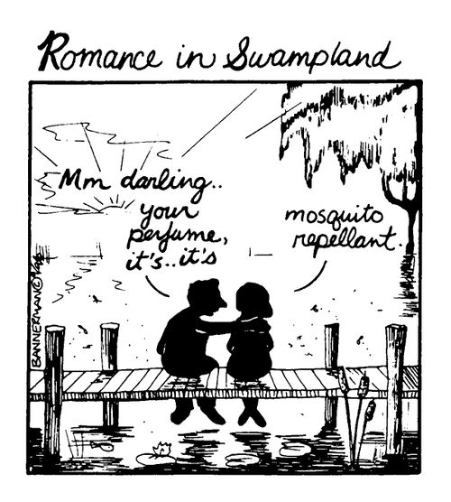 'Romance in Swampland'