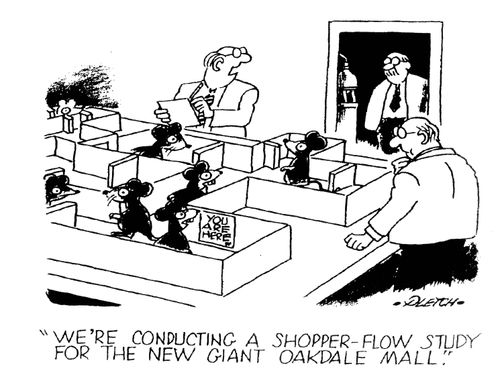 'We're conducting a shopper-flow study for the new giant Oakdale mall.'