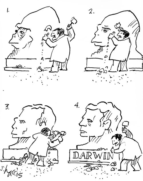 Darwin sculpture evolves.