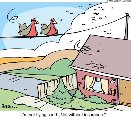 "I'm not flying south. Not without insurance."