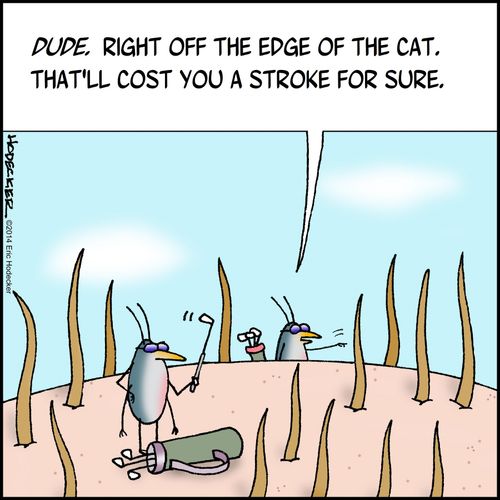 "Dude, right off the edge of the cat. That'll cost you a stroke for sure."