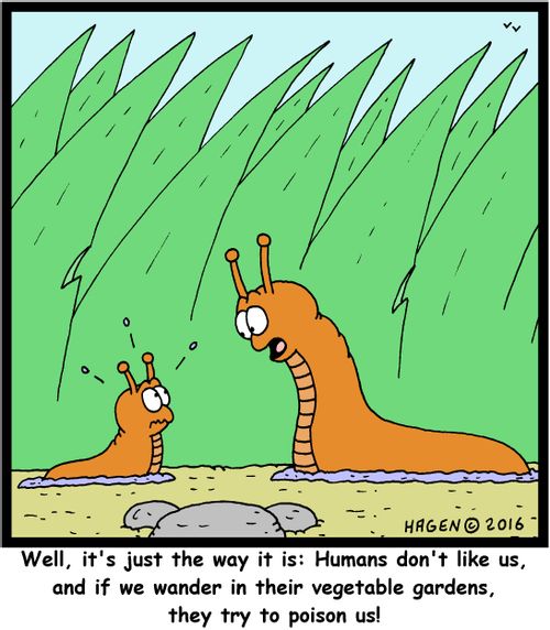 "Well, it's just the way it is: Humans don't like us, and if we wander in their vegetable gardens, they try to poison us!"