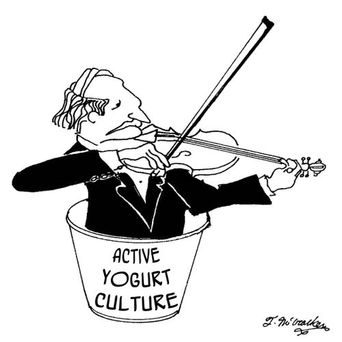 Active Yogurt Culture