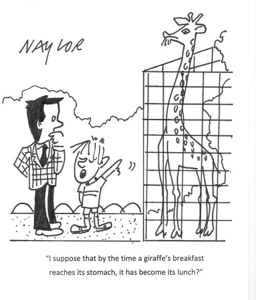 "I suppose that by the time a giraffe's breakfast reaches its stomach, it has become its lunch?"