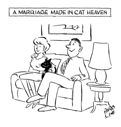 A marriage made in cat heaven.