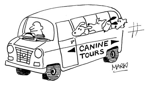 Canine Tours
