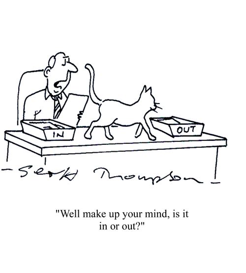 'Well make up your mind, is it in or out?'