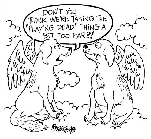 "Don't you think we're taking the 'playing dead' thing a bit too far?!"
