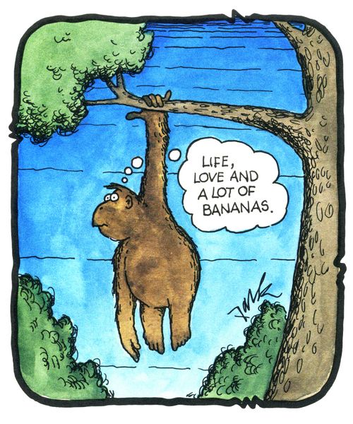 Life, love and a lot of bananas.