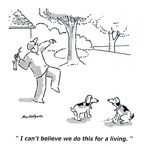'I can't believe we do this for a living.'