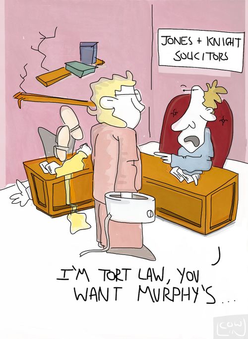 'I'm Tort Law, you want Murphy's...'
