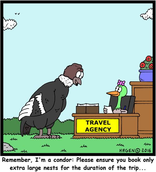 "Remember, I'm a condor: Please ensure you book only extra large nests for the duration of the trip..."