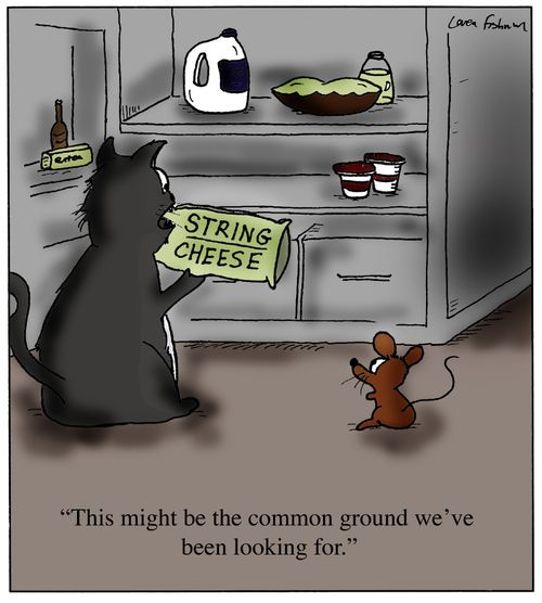 'This might be the common ground we've been looking for.'