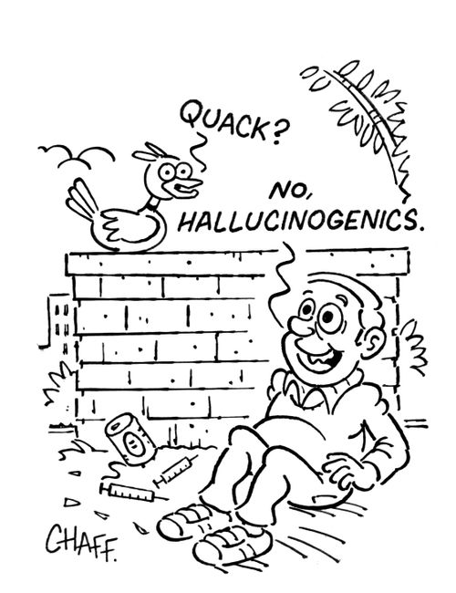 Duck - 'Quack?'  Lad - 'No, hallucinogenics.'