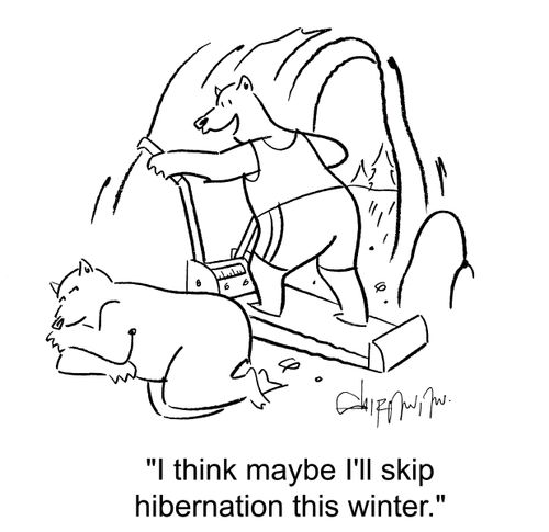 'I think maybe I'll skip hibernation this winter.'