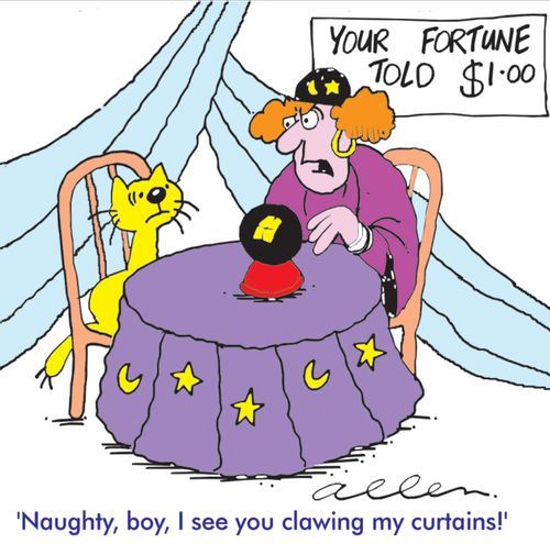 'Naughty boy, I see you clawing my curtains.'