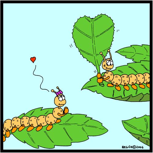 Caterpillars in love