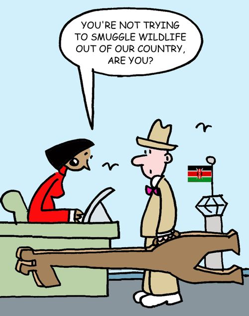 'You're not trying to smuggle wildlife out of our country, are you?'