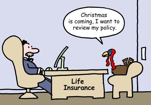 'Christmas is coming; I want to review my policy.'