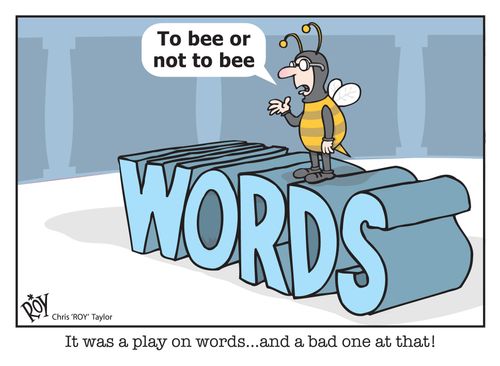'It was a play on words...and a bad one at that!'