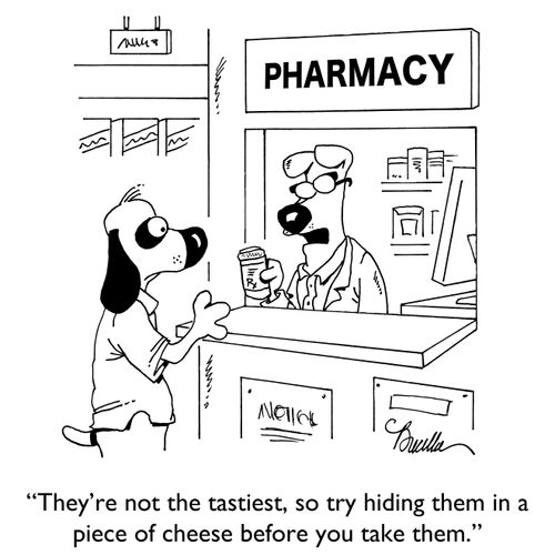 "They're not the tastiest, so try hiding them in a piece of cheese before you take them."