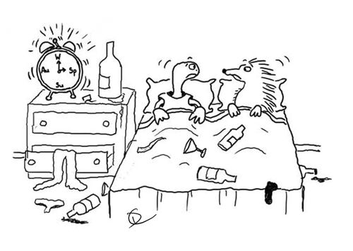 Tortoise and Hedgehog awake from hibernation in same bed after pre hibernation party.