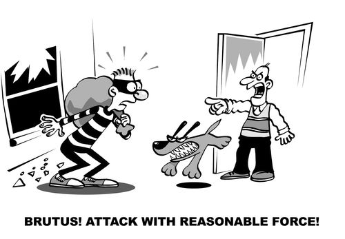 "Brutus!  Attack with reasonable force!"