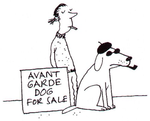 'Avant garde dog for sale.'