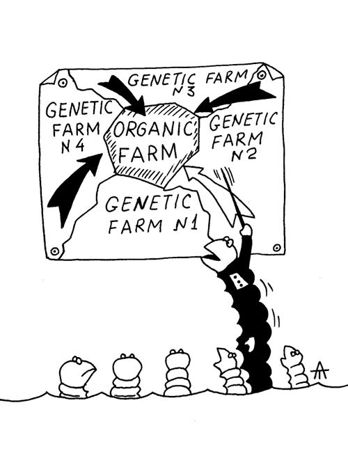Organic Farm