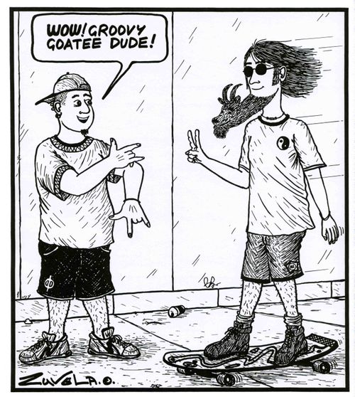 'WOW! Groovy goatee dude!'