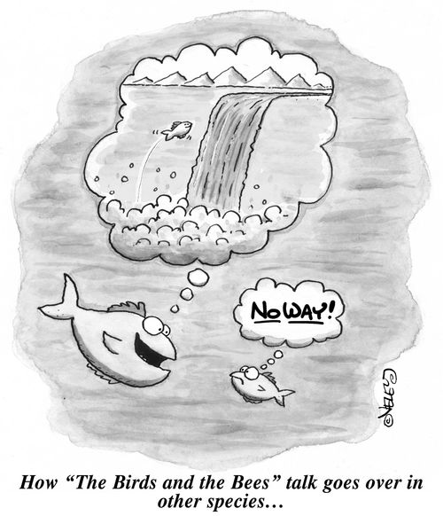 How "The Birds and the Bees" talk goes over in other species...