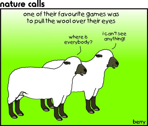 One of their favourite games was to pull the wool over their eyes.