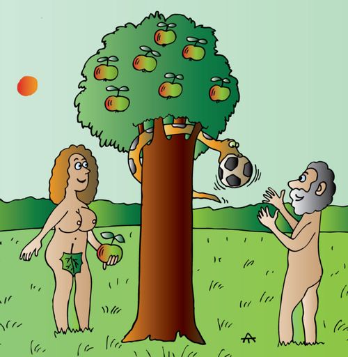 Gifts From The Tree of Knowledge
