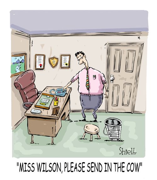 'Miss Wilson , please send in the cow', 